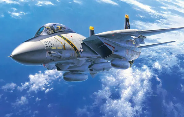 США, Палубный, истребитель-перехватчик, многоцелевой истребитель, Grumman F-14 Tomcat, US NAVY, Koike Shigeo, F-14A Tomcat (US …