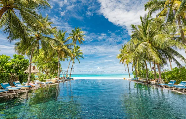 Картинка небо, пальмы, океан, бассейн, Мальдивы, Индийский океан