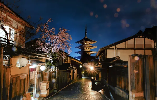 Картинка ночь, город, вишня, улица, дома, весна, Япония, сакура
