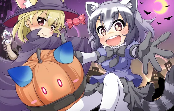 Девочки, тыква, хеллоуин, Kemono Friends, Ушастые друзья