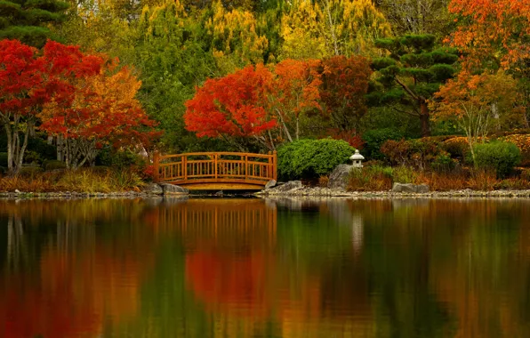 Картинка осень, деревья, мост, озеро, пруд, Орегон, Oregon, водоём