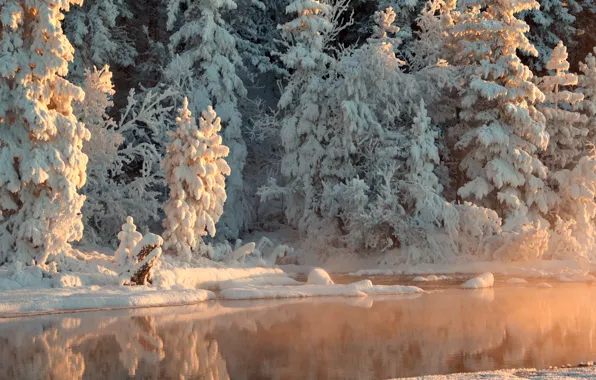 Зима, лес, вода, снег, деревья, отражение, река, солнечно