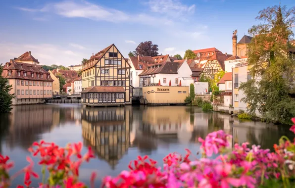 Картинка цветы, река, здания, дома, Германия, Бавария, Germany, Bamberg