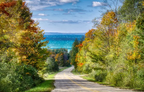 Картинка дорога, море, осень, деревья