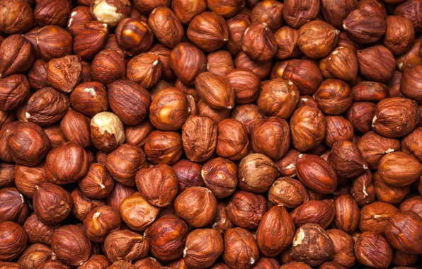 Фон, орехи, фундук, nuts, протеин