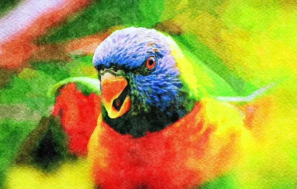 Jungle, nature, Painting, a parrot