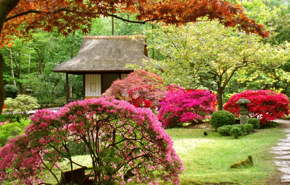 Картинка деревья, пейзаж, цветы, дом, японский сад