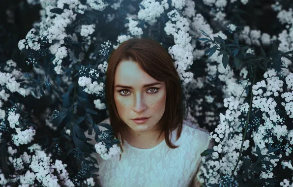 Картинка девушка, цветы, волосы, губы, белая блузка, прямой взгляд
