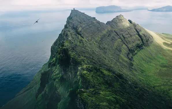 Картинка острова, горы, скалы, птица, Фарерские острова