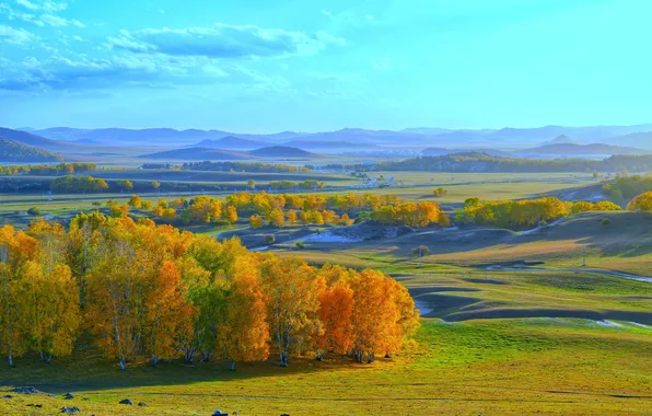 Осень, лес, свет, деревья, горы, природа, туман, синева