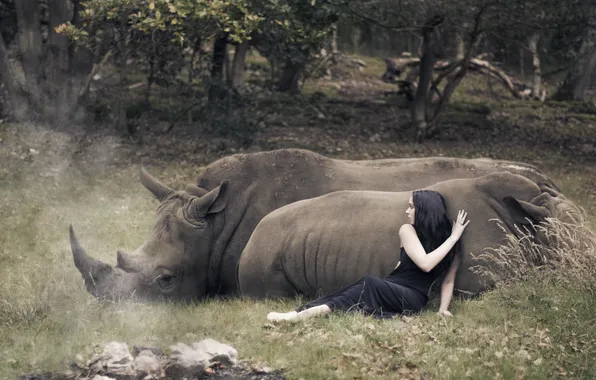 Картинка девушка, ситуация, носороги