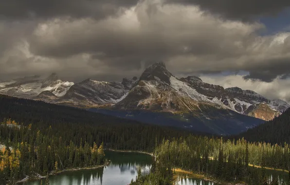 Лес, пейзаж, горы, тучи, природа, река