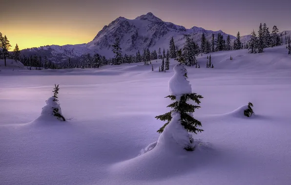 Картинка зима, снег, горы, природа, ёлки