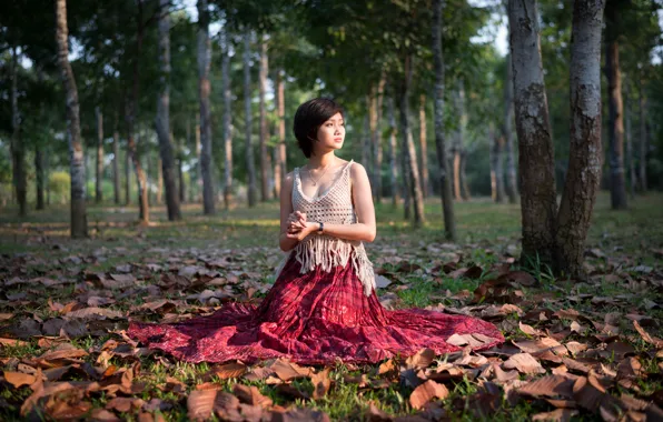 Лес, листья, спокойствие, красота, forest, leaves, beauty, tranquility