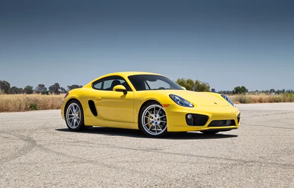 Porsche, Cayman, yellow