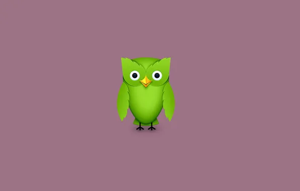 Сова, птица, минимализм, зеленая, owl