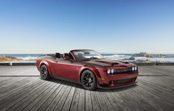 Dodge, Challenger, muscle car, front view, Dodge Challenger SRT Hellcat