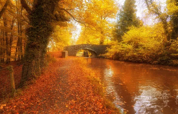 Картинка осень, мост, река, фото, Уэльс, объединенное королевство