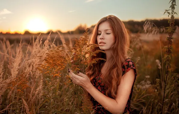 Трава, девушка, солнце, рассвет, платье, рыжая, стоит, в поле