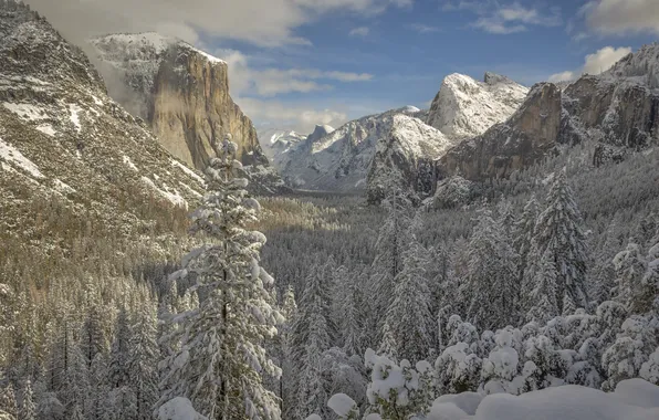 Картинка зима, лес, снег, горы, долина, Калифорния, Йосемити, California