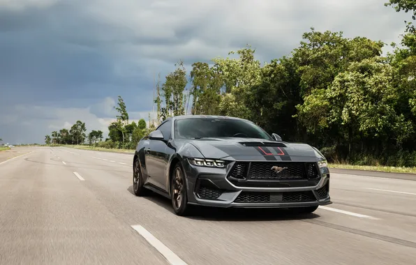 Ford, Форд, Brazil, Ford Mustang GT, Mustang GT, 2025, 60th Anniversary, Performance Manual