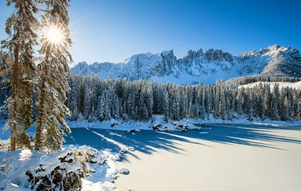 Зима, лес, снег, горы, Италия, Italy, Доломитовые Альпы, Lago di Carezza