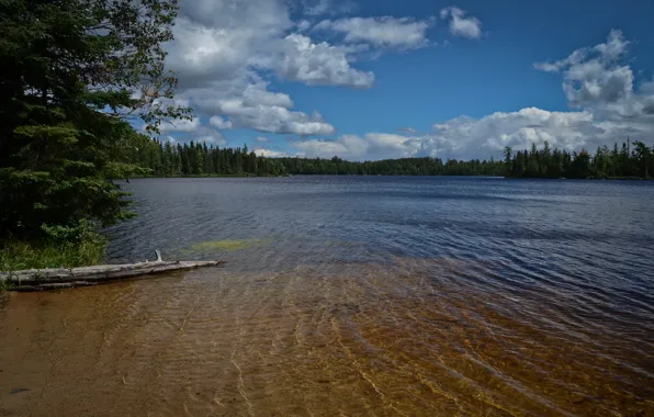 Картинка небо, вода, облака, деревья, природа, широкоформатные
