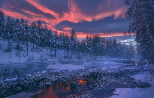 Норвегия, Norway, Ringerike, cнег