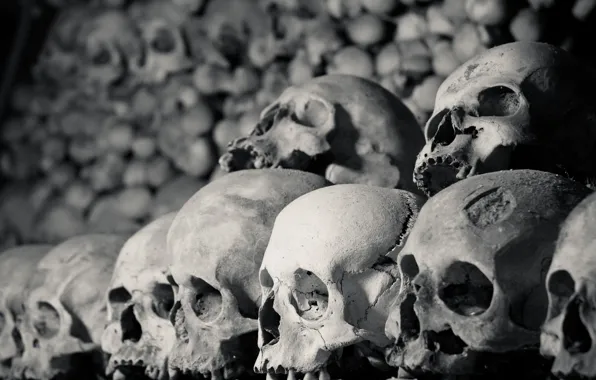 Skull, bones, stacked