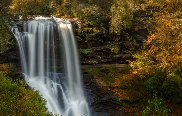 Лес, солнце, деревья, скала, водопад, США, Highlands, North Carolina
