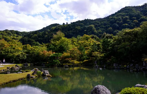 Деревья, пруд, парк, камни, Япония