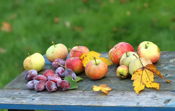 Apple, Autumn, Garden, Herbst, plums, Fruit, Apfel, Garten
