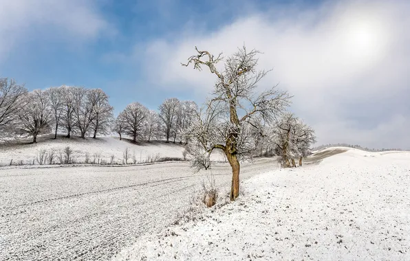Картинка зима, поле, снег