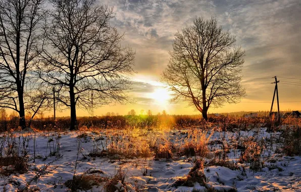 Картинка зима, небо, солнце, снег, деревья, пейзаж, закат, природа