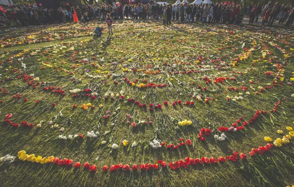 Цветы, день победы, 9 мая