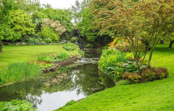 Картинка трава, деревья, пруд, парк, Англия, Лондон, Hyde Park