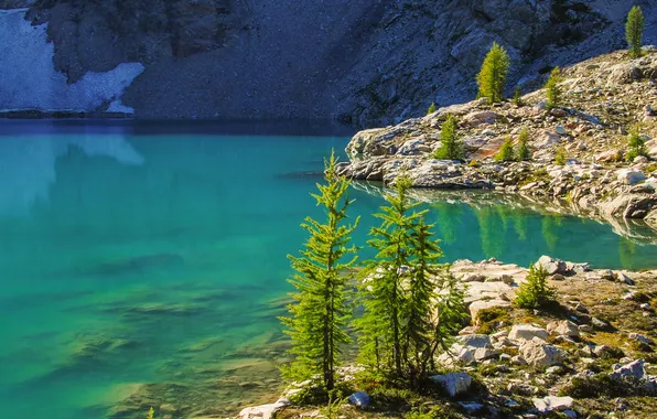 Деревья, горы, озеро