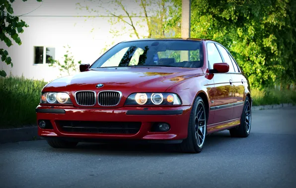 Картинка BMW, Red, E39, Wheels, M5