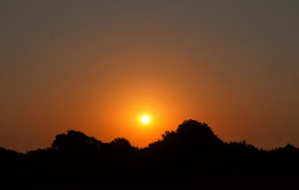 Небо, закат, природа, рассвет, sky, nature, sunset, sunrise