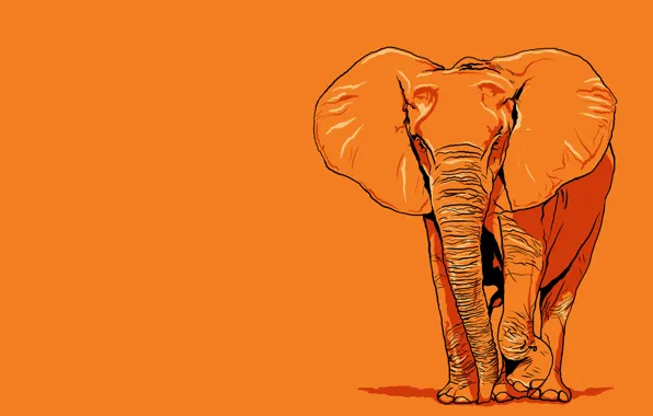 Картинка слон, гигант, оранжевое