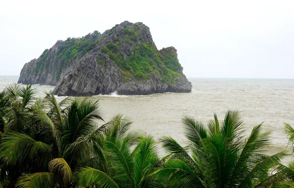 Картинка море, пальмы, остров, Вьетнам, национальный парк, Катба, Cat Ba, Cat Ba island