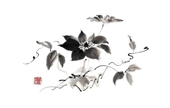 Картинка белый, цветок, черный, монохромный, Китайская живопись
