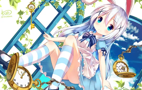 Ключ, ставни, бантики, голубые глаза, Alice in Wonderland, Alice, фартук, плющ