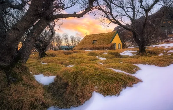 Картинка Iceland, East, Fagurhólsmýri