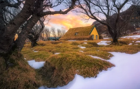 Iceland, East, Fagurhólsmýri