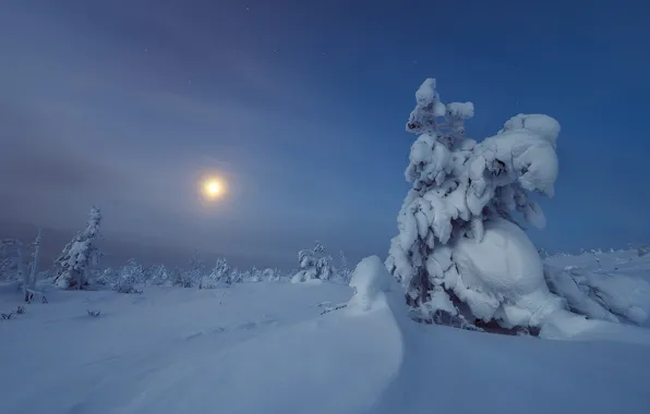 Картинка зима, снег, деревья, луна, сугробы, Россия, Главный Уральский хребет