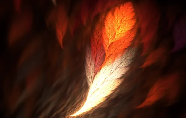 Картинка перо, phoenix, рендер
