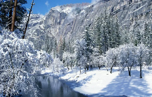 Зима, снег, калифорния, национальный парк йосемити