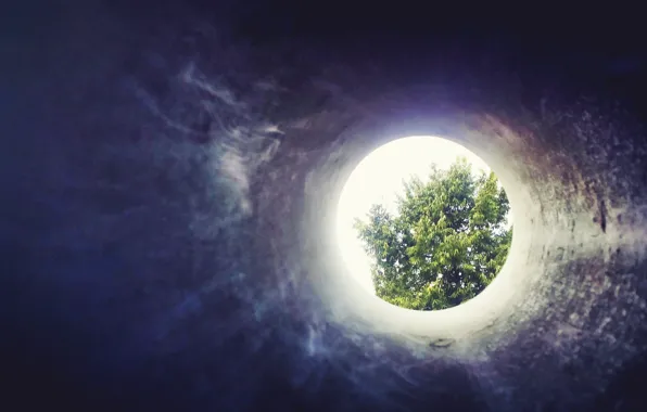 Tree, hole, through