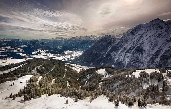 Зима, снег, деревья, горы, вершины, Германия, Бавария, Альпы